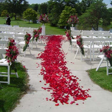 Load image into Gallery viewer, Outdoor wedding ceremony aisle fully covered with red rose petals, styled using 3 bags of petals from Floral Atelier Australia for a rich, dramatic effect.