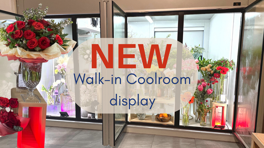 NEW Walk-in Coolroom