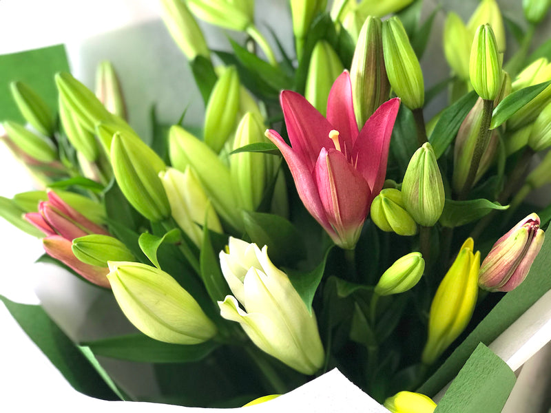 Mother's Day flowers. Insights and tips from Adelaide florist