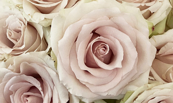 Quicksand Rose Wedding Flowers – Floral Atelier Australia