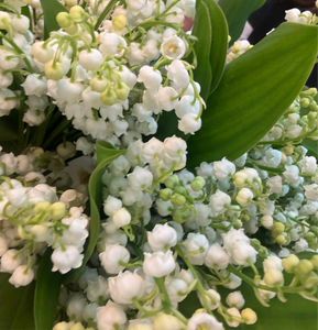 Lily of the Valley Bouquet. 25 September - 3 October