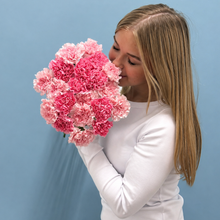 Load image into Gallery viewer, Blush Carnations Bunch
