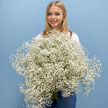Load image into Gallery viewer, Cloud of Dreams Baby’s Breath Bunch
