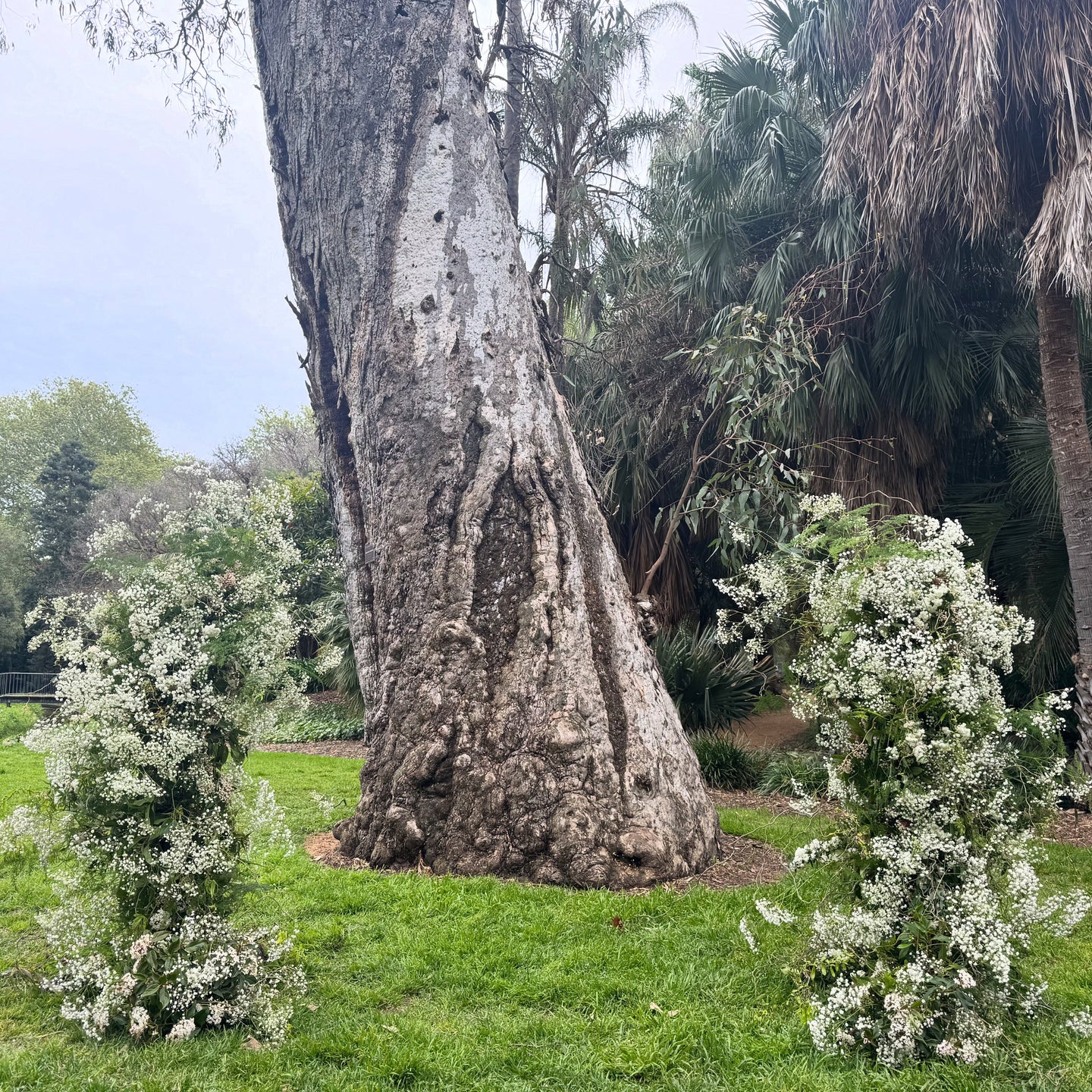 Baby's Breath Half Way Arch