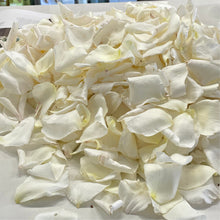 Load image into Gallery viewer, Image of Adelaide Fresh Rose Petals in a Bag, featuring a luxurious collection of pristine white rose petals. The petals are delicately arranged to showcase their natural beauty and elegance. Each petal appears fresh and vibrant, symbolizing purity and grace. The background subtly highlights the freshness of the petals, emphasizing their high quality. Ideal for special occasions, these petals convey a sense of sophistication and romance.
