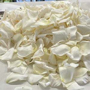 Image of Adelaide Fresh Rose Petals in a Bag, featuring a luxurious collection of pristine white rose petals. The petals are delicately arranged to showcase their natural beauty and elegance. Each petal appears fresh and vibrant, symbolizing purity and grace. The background subtly highlights the freshness of the petals, emphasizing their high quality. Ideal for special occasions, these petals convey a sense of sophistication and romance.