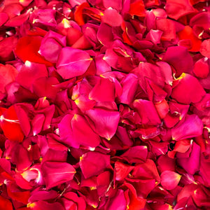 Adelaide Fresh Rose Petals in a Bag