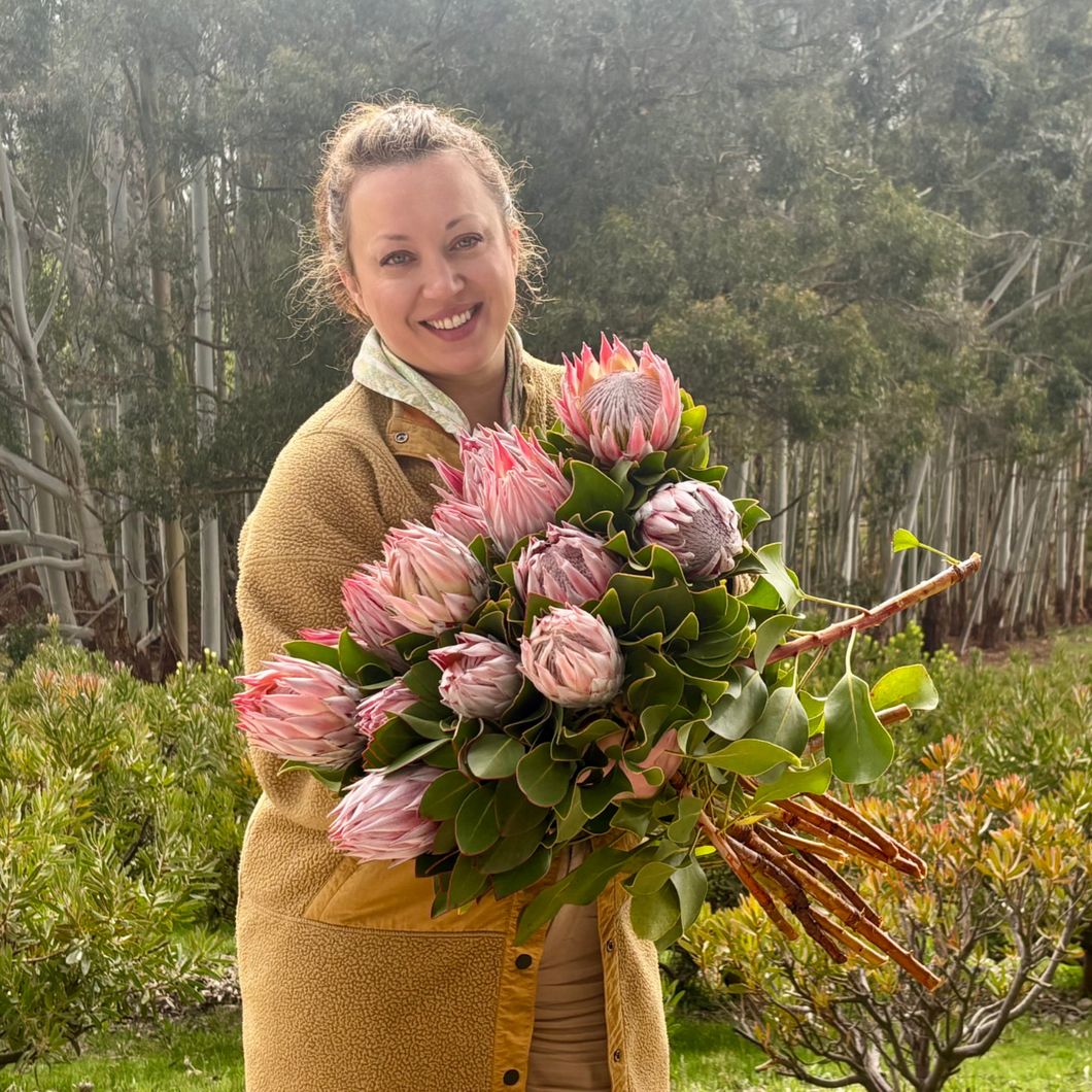 Extra large King Protea bouquet with 15 stems, Floral Atelier Australia, luxury florist Adelaide