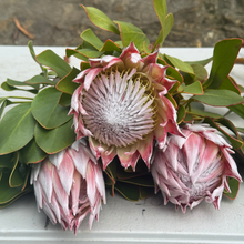 Load image into Gallery viewer, Small King Protea bouquet with 3 stems, Floral Atelier Australia, Adelaide wedding and event florist
