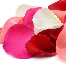 Load image into Gallery viewer, Adelaide Fresh Rose Petals in a Bag mix colour, one of the most popular choices for weddings in Adelaide. 
