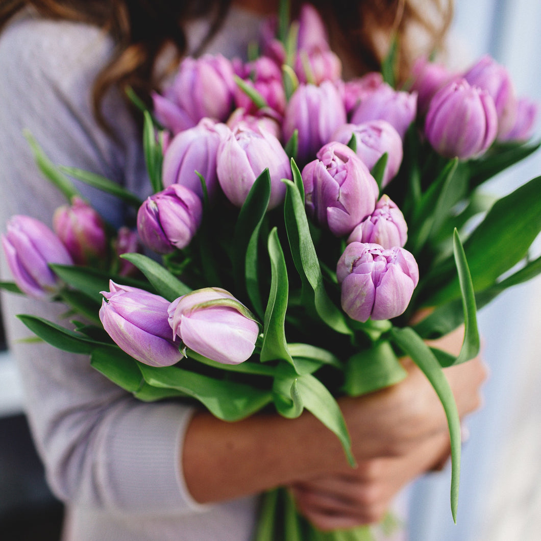  Image of Adelaide Purple Tulip Dream bouquet, showcasing 10 stems of pristine purple tulips elegantly wrapped and adorned with a ribbon, symbolizing purity and new beginnings.