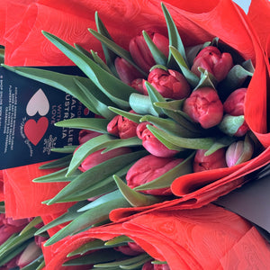 Elegant presentation of Adelaide Red Tulip Dream with red tulips, symbolizing purity and new beginnings