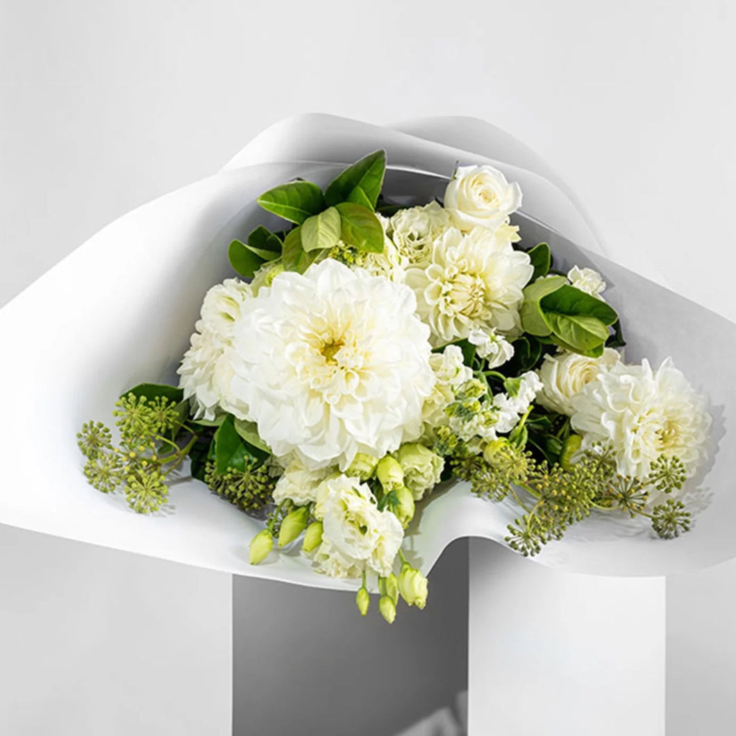 Image of Adelaide Sympathy Ivory Bouquet by Adelaide Florist – An elegant arrangement of ivory and green blooms, wrapped in white and finished with a ribbon. Suitable for condolences and sympathy gestures. Available for flower delivery in Adelaide.