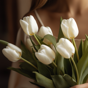 Image of Adelaide White Tulip Dream bouquet by Adelaide Florist – Pure elegance with 10 stems of white tulips, wrapped in ribbon. Available for flower delivery in Adelaide. Perfect for weddings, graduations, and special occasions