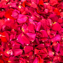 Load image into Gallery viewer, Adelaide Fresh Rose Petals in a Bag
