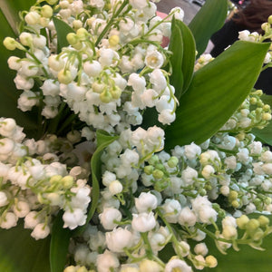 Lily of the Valley Bouquet. 25 September - 3 October
