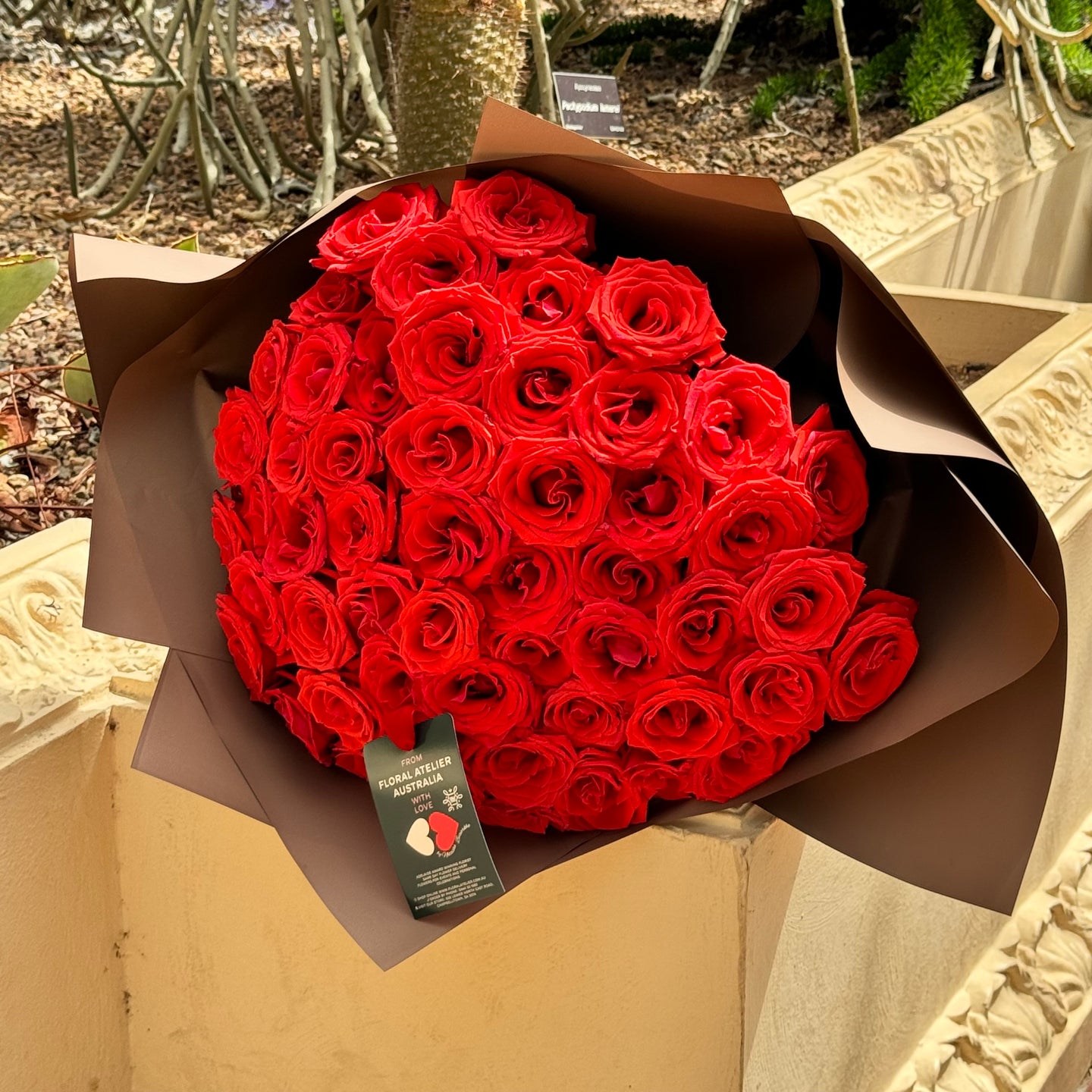 Elegant 50 Ferrari Red Roses Bouquet from Floral Atelier Australia, captured in full bloom against the muted tones of the botanical backdrop, epitomizes classic elegance, available for prompt same day flower delivery in Adelaide.