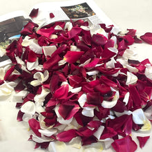 Load image into Gallery viewer, Adelaide Fresh Rose Petals in a Bag
