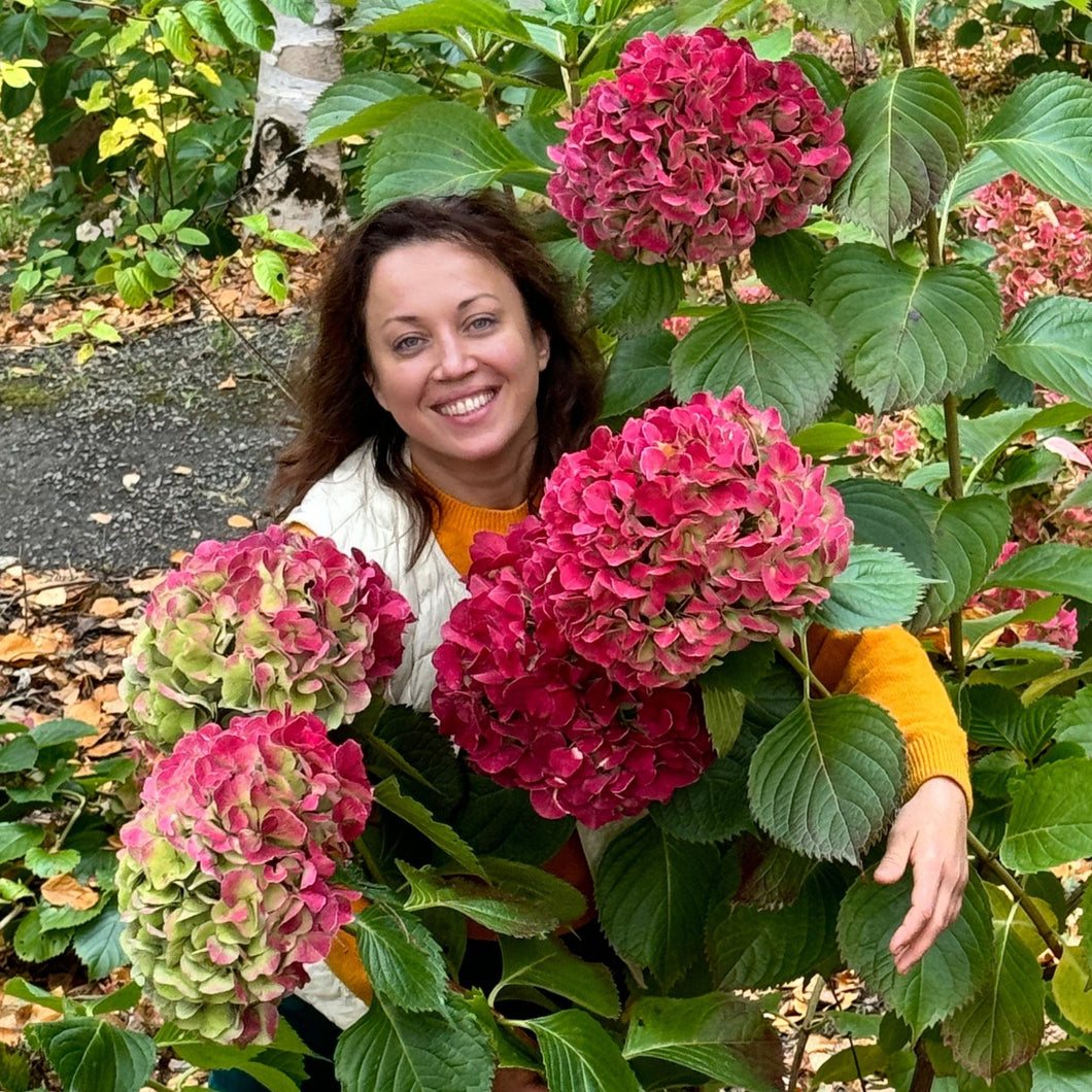 Natasha Bezverkha is the best florist in Adelaide with exceptional cservice and amazing fresh flowers