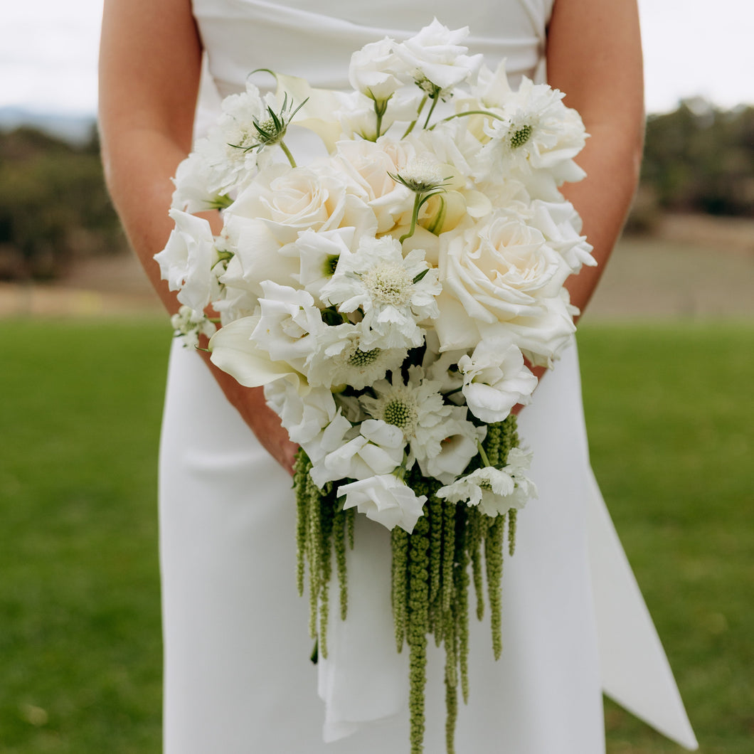 White rose and scabiosa cascade bridal bouquet with green amaranthus – Adelaide wedding flowers by Floral Atelier Australia