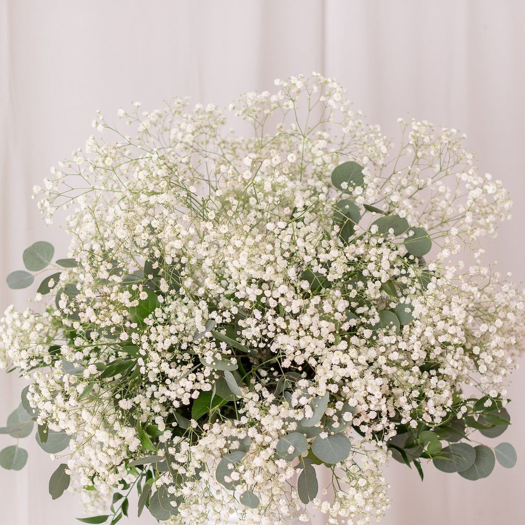 Low baby’s breath centerpiece arranged on a white tray for wedding aisle or altar by Floral Atelier Australia, Adelaide wedding florist.