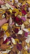 Load and play video in Gallery viewer, Adelaide Dry Rose Petals in a bag
